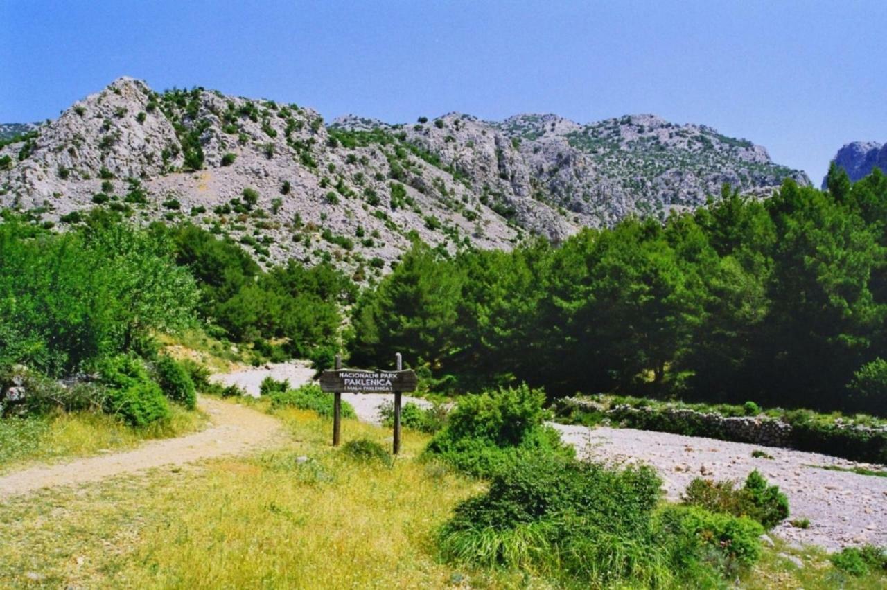 Apartmani Goga Seline Luaran gambar